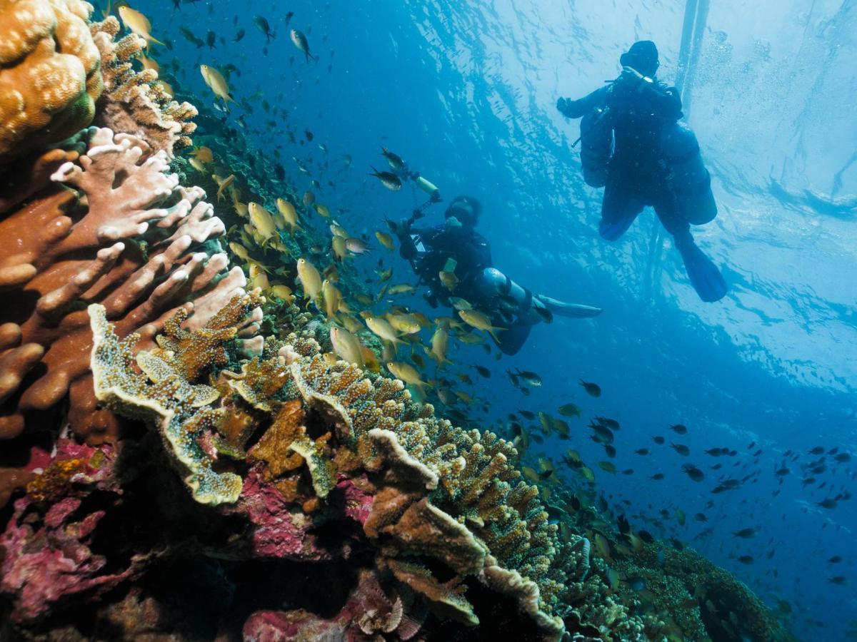 Cebu Seaview Dive Resort Moalboal Exterior photo